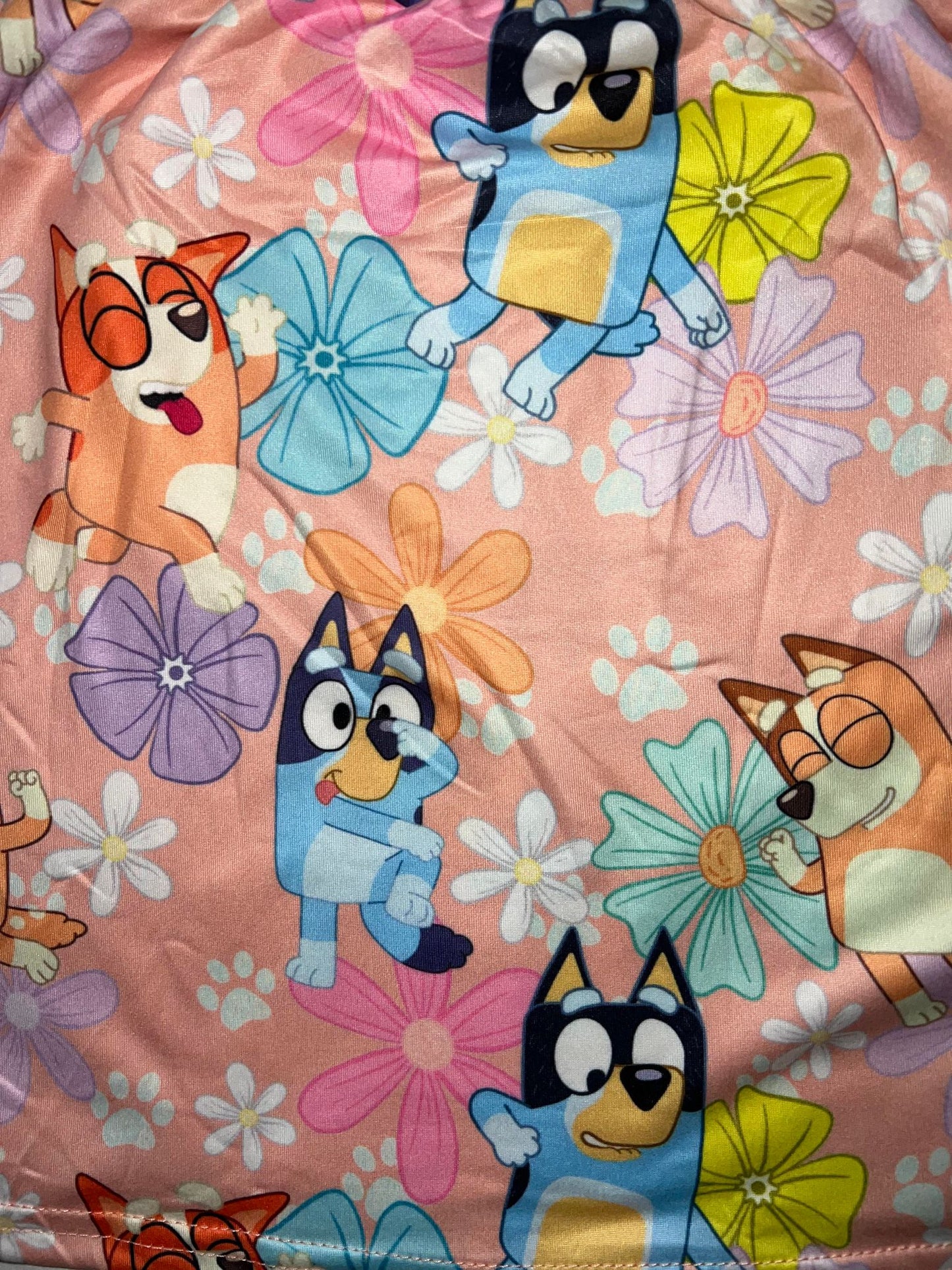 Bluey Girl Dress